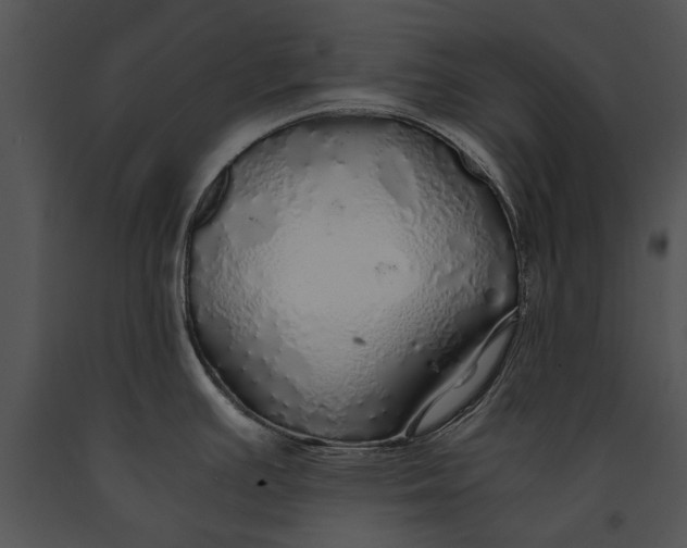 X0000091181391200708301207