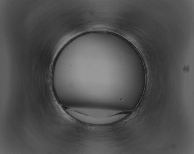 X0000091181392200708301207