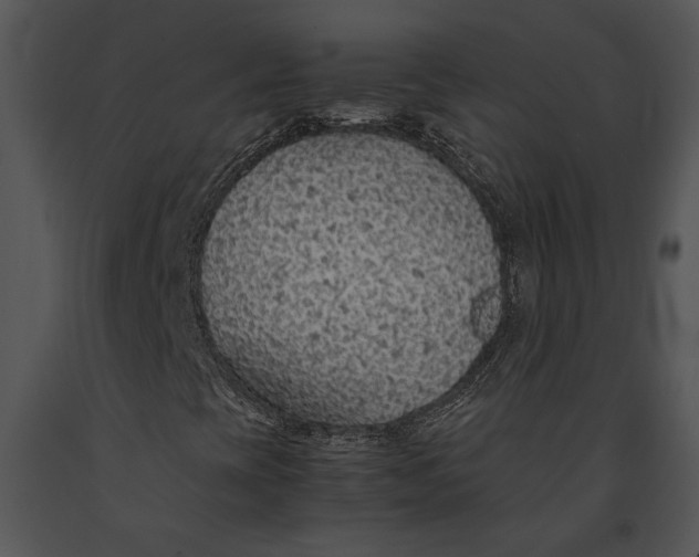 X0000091181393200708301206