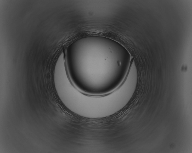 X0000091181394200708301206