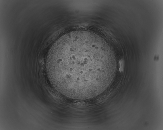 X0000091181395200708301206