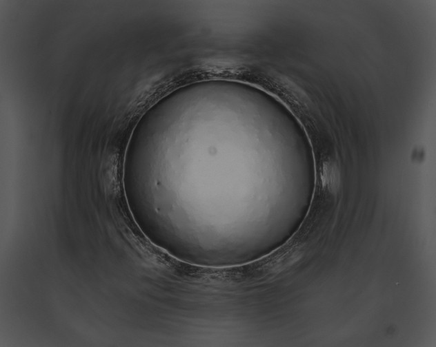 X0000091181396200708301207