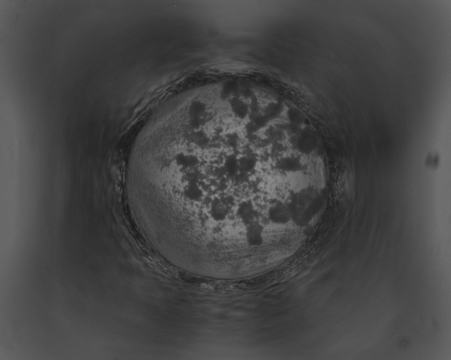 X0000091181397200708301207