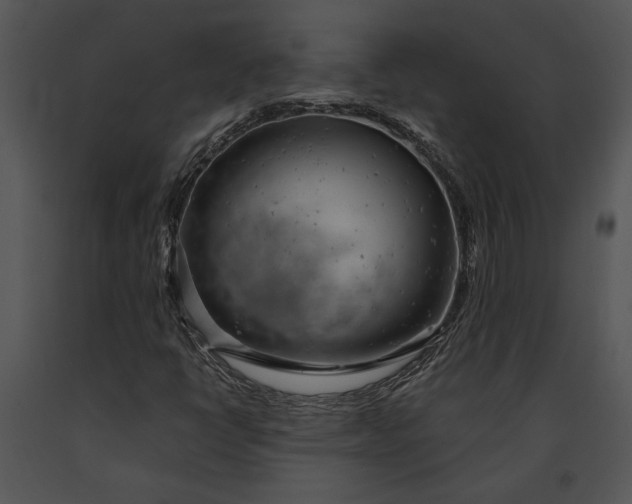 X0000091181398200708301207