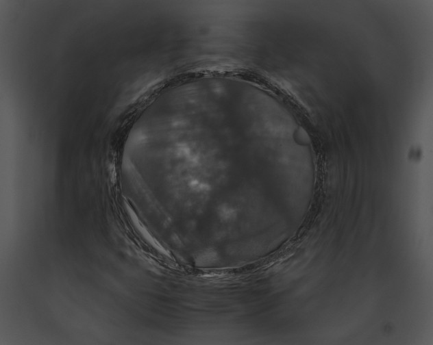 X0000091181399200708301207