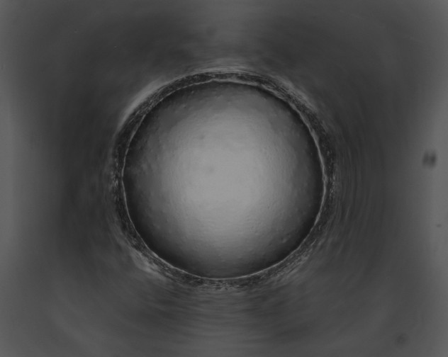 X0000091181400200708301207