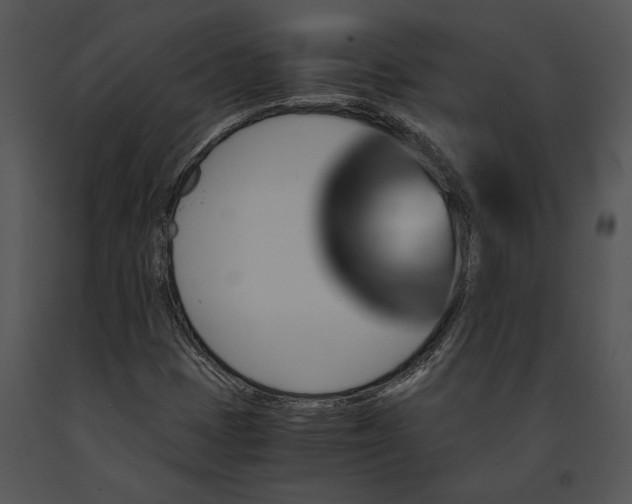 X0000091181401200708301207