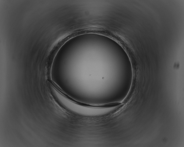 X0000091181402200708301207