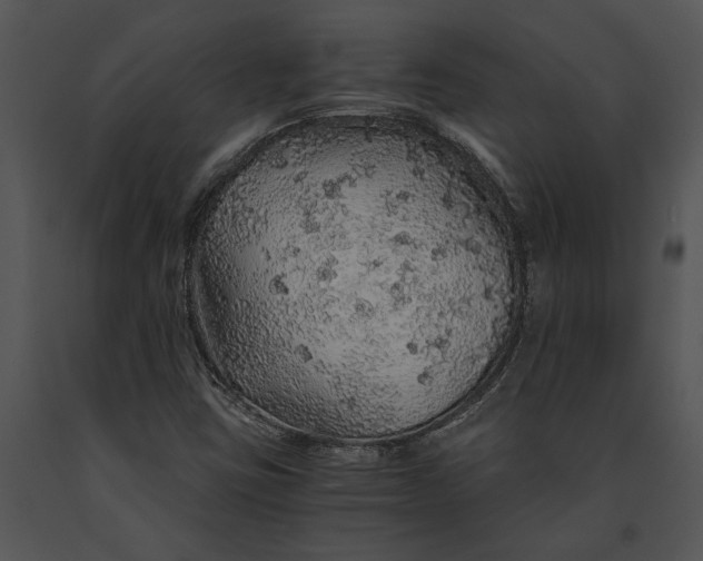 X0000091181403200708301207