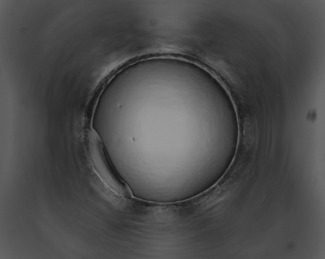 X0000091181404200708301207