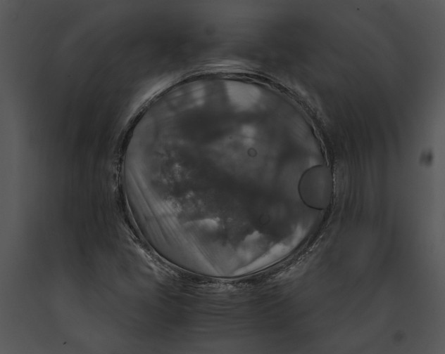 X0000091181405200708301207