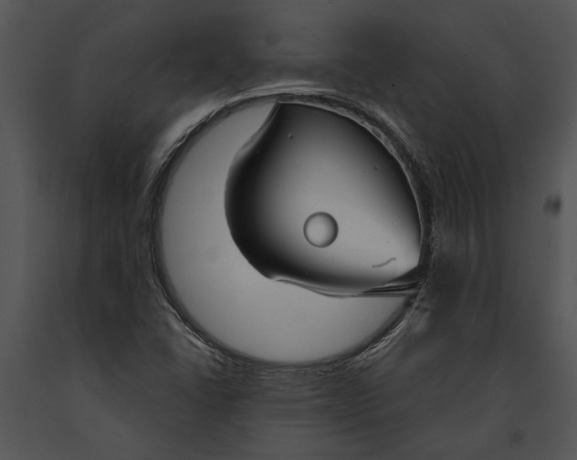 X0000091181406200708301207