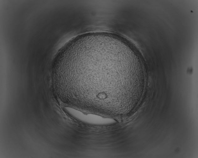 X0000091181407200708301207