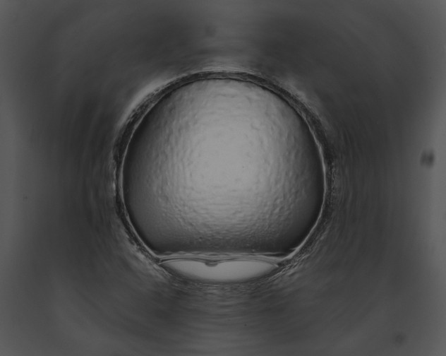 X0000091181408200708301207