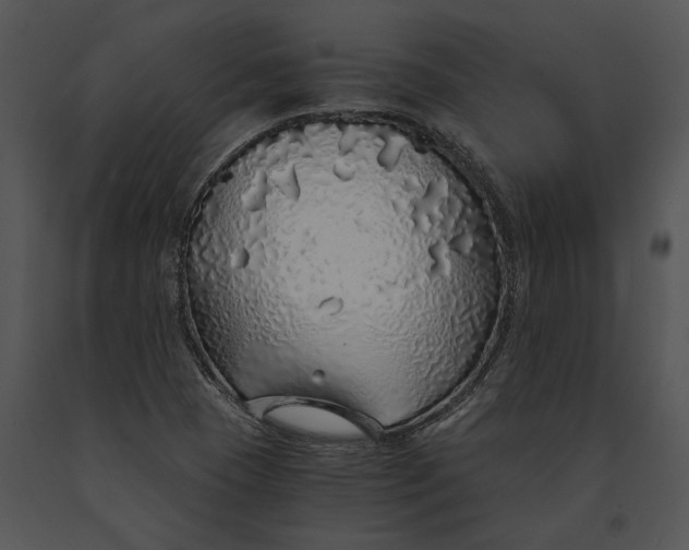 X0000091181409200708301207