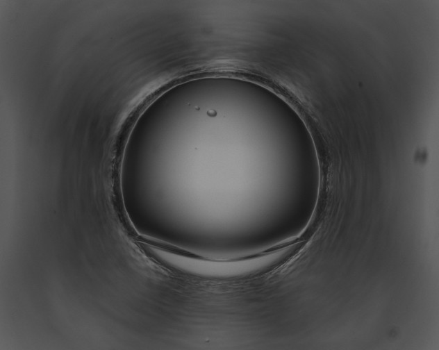 X0000091181410200708301207