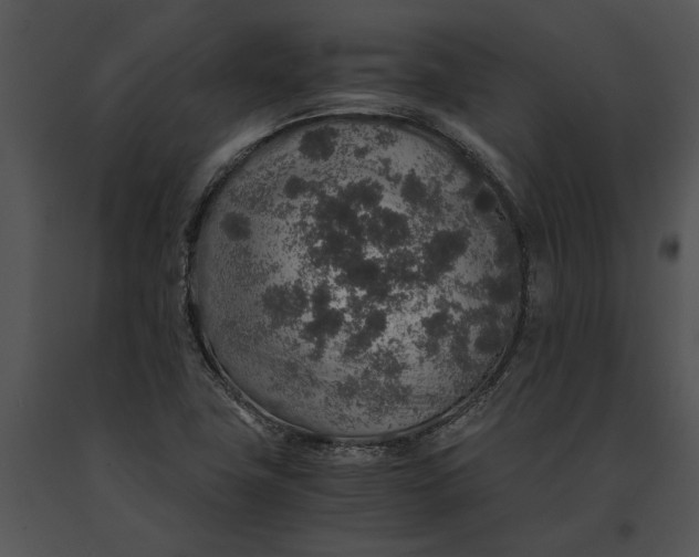 X0000091181411200708301207