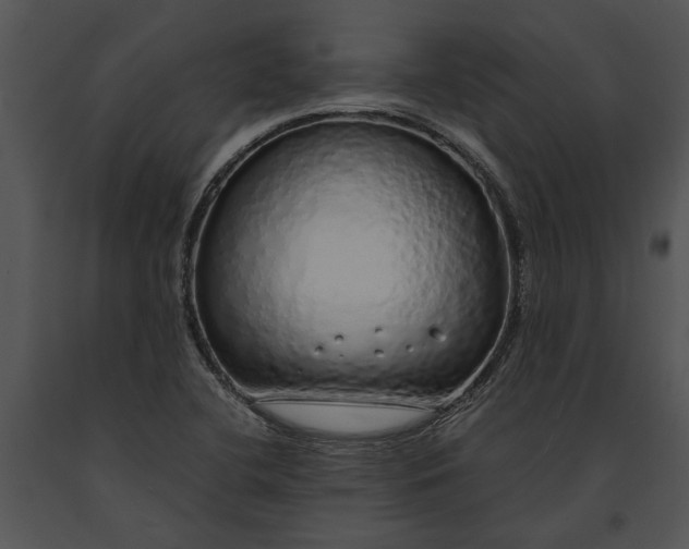 X0000091181412200708301207