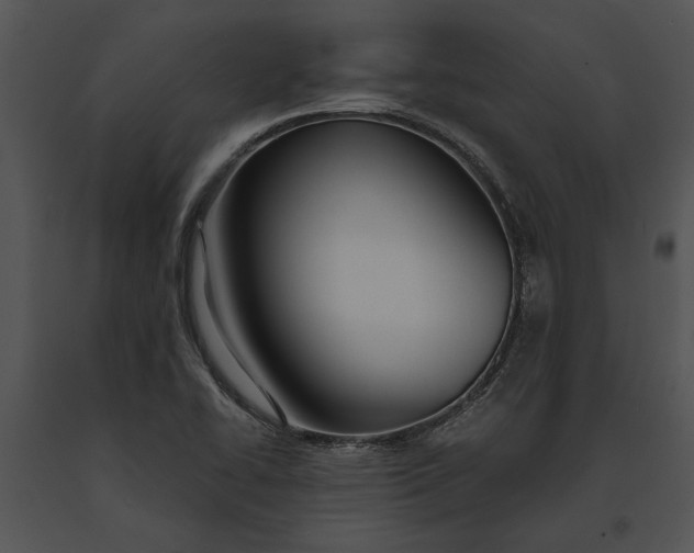 X0000091181414200708301207