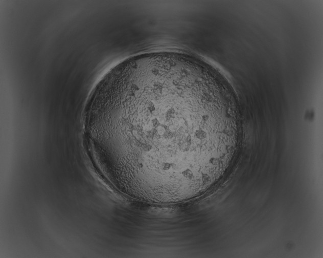 X0000091181415200708301207