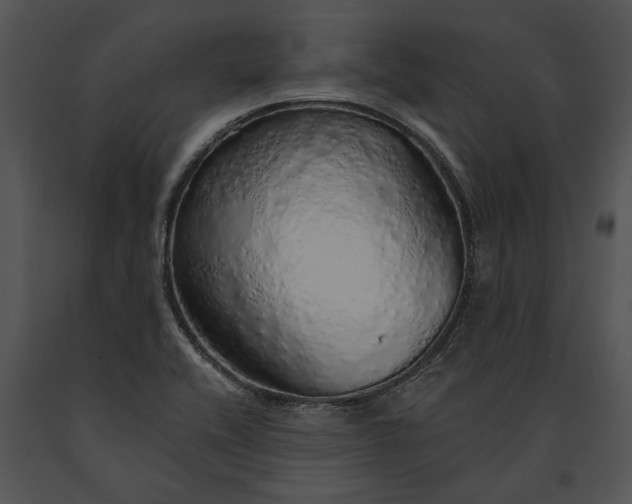 X0000091181416200708301207