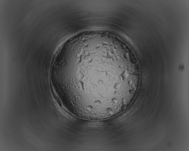 X0000091181417200708301207