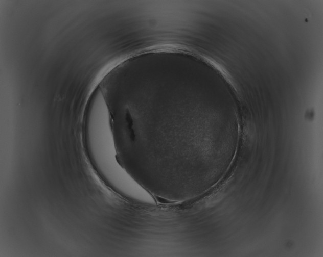 X0000091181418200708301207