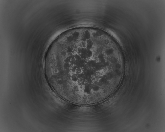 X0000091181419200708301207