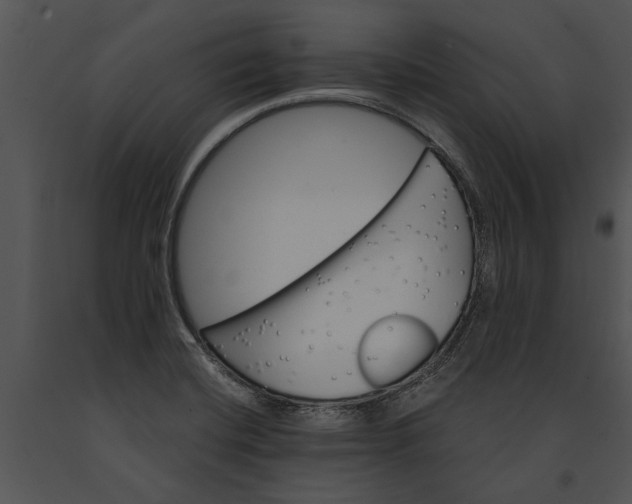 X0000091181420200708301207