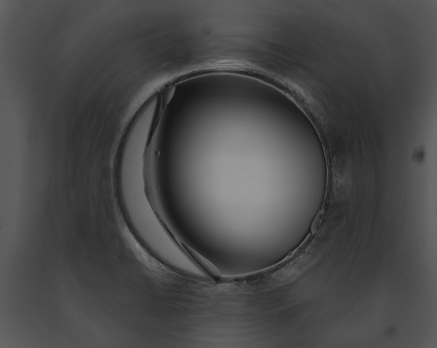 X0000091181422200708301207