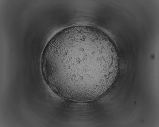 X0000091181423200708301207