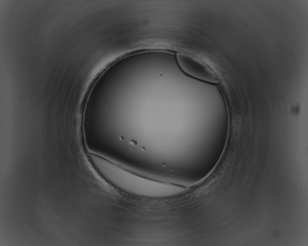 X0000091181424200708301207