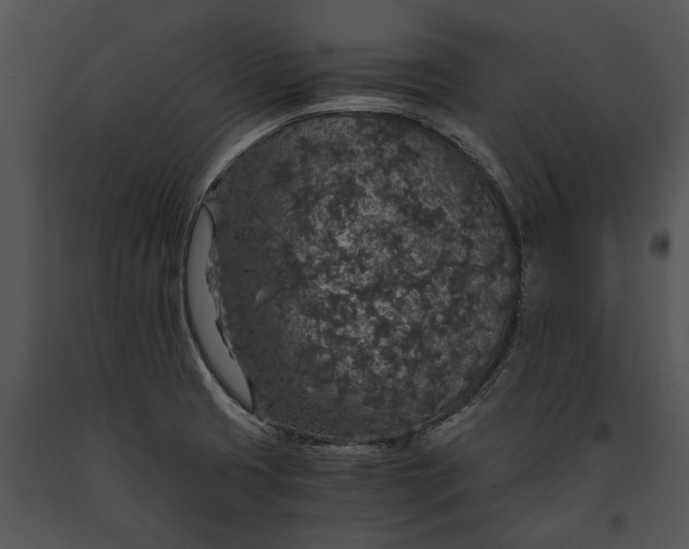 X0000091181425200708301207