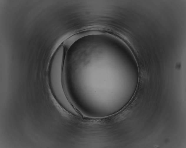 X0000091181426200708301207