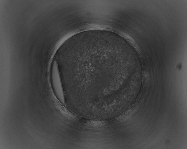 X0000091181427200708301207