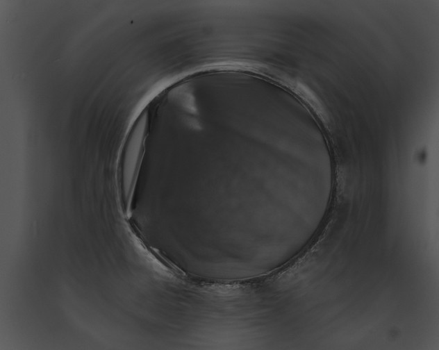 X0000091181428200708301207