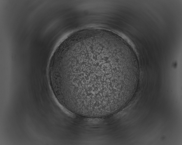 X0000091181429200708301207