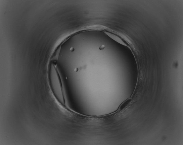 X0000091181430200708301207