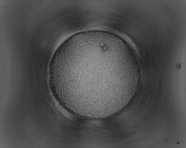 X0000091181431200708301207