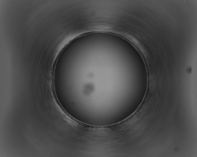 X0000091181432200708301207