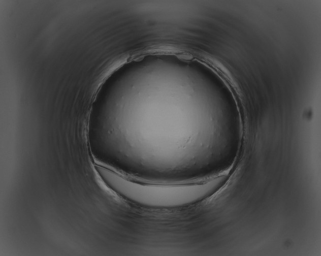 X0000091181433200708301207