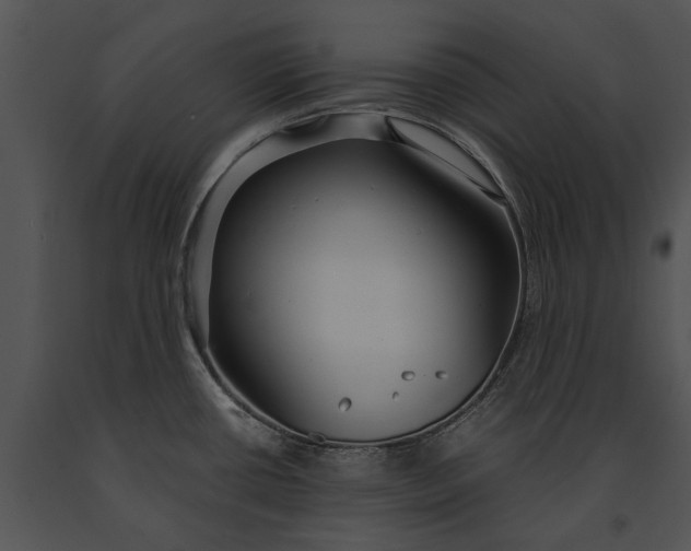 X0000091181434200708301207