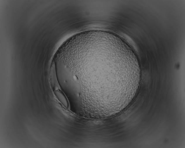 X0000091181435200708301207