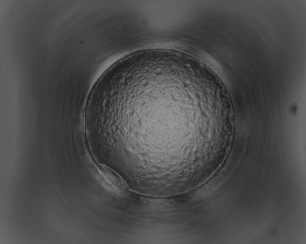 X0000091181436200708301207