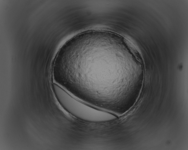 X0000091181437200708301207