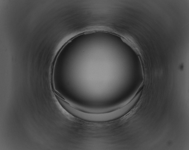 X0000091181438200708301207