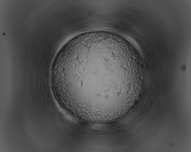 X0000091181439200708301207