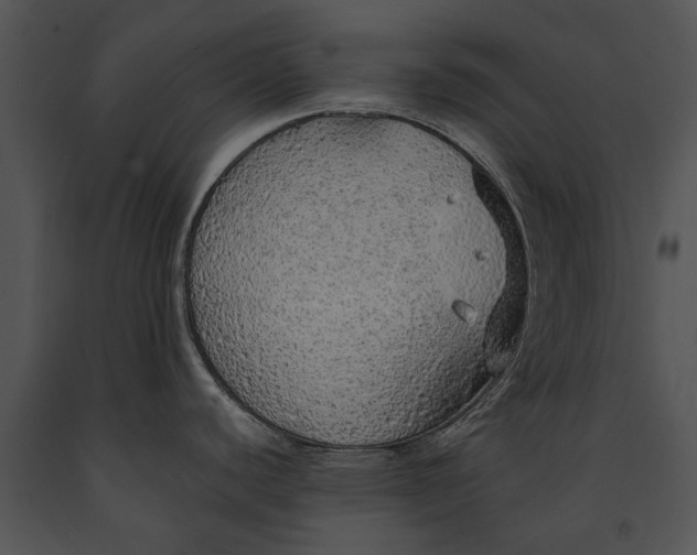 X0000091181440200708301207