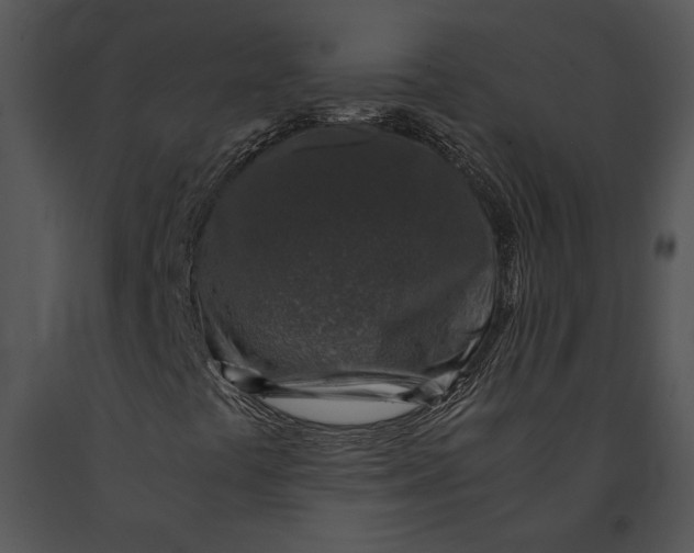 X0000091181441200708301206