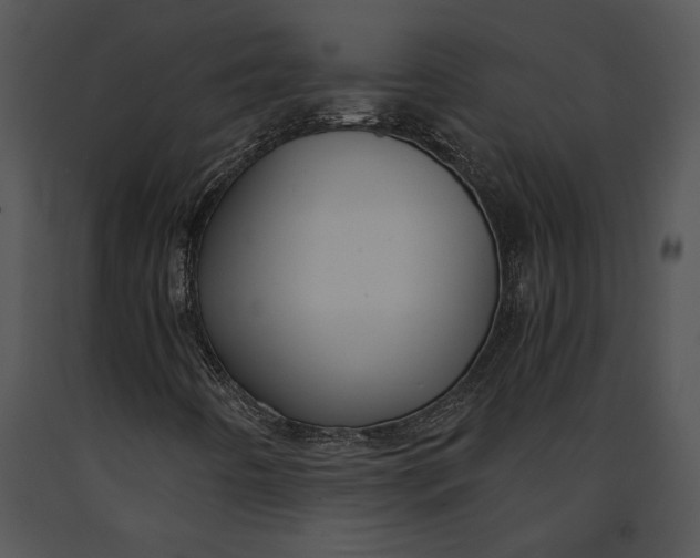 X0000091181442200708301206